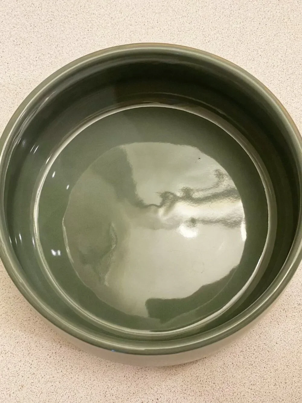 🌟 NEW Reddy Large Green Angular Ceramic Dog Bowl - 5.5 Cups NWT